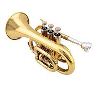 Principianti Mini Pocket Trumpet New Palm Trumpet Portable Travel Pocket Tromba Strumento B-flat Pocket Corner Brass Instrument Tromba tascabile