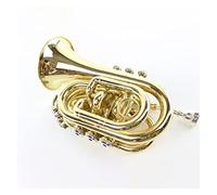 Principianti Mini Pocket Trumpet Ottone Per Principianti Si Bemolle Mini Tromba Tascabile Con Palmo Dorato Tromba tascabile