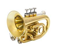 Principianti Mini Pocket Trumpet Professionale B-flat Numero Di Palmo Mini Tromba Tascabile Strumento Musicale Per Bambini Studenti Principianti A Giocare Tromba tascabile (Color : 02)