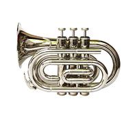 Principianti Mini Pocket Trumpet Professionale B-flat Numero Di Palmo Mini Tromba Tascabile Strumento Musicale Per Bambini Studenti Principianti A Giocare Tromba tascabile (Color : 01)