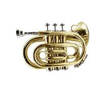 Principianti Mini Pocket Trumpet Si Bemolle Laccato Palma D'oro Tromba Tromba Tascabile In Miniatura Strumento Tromba Per Studenti Principianti Tromba tascabile (Color : 02)
