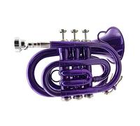 Principianti Mini Pocket Trumpet Si Bemolle Laccato Palma D'oro Tromba Tromba Tascabile In Miniatura Strumento Tromba Per Studenti Principianti Tromba tascabile (Color : 01)