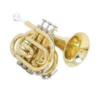 Principianti Mini Pocket Trumpet Strumenti Musicali A Tromba Tascabile Con Bocchino Con Tromba In Ottone Piatto In Sib Per Studenti Principianti Tromba tascabile