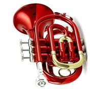 Principianti Mini Pocket Trumpet Strumento A Fiato In Ottone Per Tromba Tascabile Professionale Piatto B Bb Tono Con Custodia Per Guanti Bocchino Tromba tascabile (Color : 05)