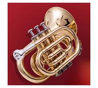 Principianti Mini Pocket Trumpet Strumento A Tromba Si Bemolle Tromba Tascabile A Tre Toni Mini Tromba Da Palmo Tromba Per Principianti Per L'uso In Banda Tromba tascabile