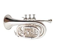 Principianti Mini Pocket Trumpet Strumento Da Gioco Professionale Tromba In Miniatura Tromba Da Tasca Piatta Tromba In Nichel Argento Tromba Da Palmo Tromba tascabile