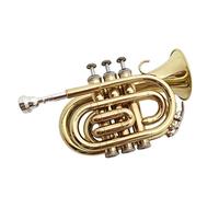 Principianti Mini Pocket Trumpet Strumento Tromba Tascabile Tromba Palma D'oro B-flat Banda Di Prova Per Principianti Che Suona Tromba tascabile