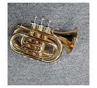 Principianti Mini Pocket Trumpet Tromba Da Palmo In Ottone Placcato Oro Strumento Tromba Tascabile Professionale Tromba Portatile Tromba In Si Bemolle Tromba tascabile