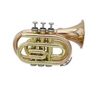 Principianti Mini Pocket Trumpet Tromba Da Palmo In Si Bemolle Tromba Tascabile Portatile In Bronzo Fosforoso Tromba A Tre Toni Per Principianti Tromba tascabile (Color : 01)