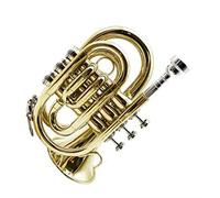 Principianti Mini Pocket Trumpet Tromba Tascabile In Si Bemolle Laccata Oro Tromba In Si Bemolle Palmare In Miniatura Strumento In Ottone Tromba tascabile (Color : 06)
