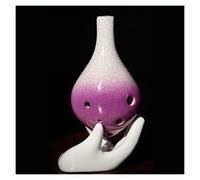 principianti ocarina Ocarina Professionale A Sei Buche Per Principianti A 6 Buche Tono C Alto (AC) Studenti Per Bambini Strumento Musicale Tao Xun Per Adulti ocarina professionale (Color : 06)