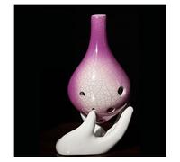 principianti ocarina Ocarina Professionale A Sei Buche Per Principianti A 6 Buche Tono C Alto (AC) Studenti Per Bambini Strumento Musicale Tao Xun Per Adulti ocarina professionale (Color : 03)