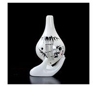 principianti ocarina Strumento Musicale Per Ocarina Di Forma Unica Introduzione Alla Musica Per Principianti Ocarina Con Melodia AC A 6 Buche ocarina professionale (Color : 10)