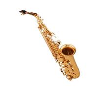 Principianti sassofono Mi Bemolle Sassofono Contralto Grado Principiante Adulto Professionista Che Suona Uno Strumento A Fiato In Oro Elettroforetico