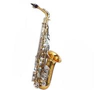 Principianti sassofono Strumento Da Maestro Del Sassofono Contralto In Mi Bemolle Oro E Argento In Configurazione A Doppia Costola Bicolore