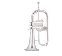 Principianti tromba B Strumento Piatto Strumento A Tromba A Tre Tasti Professionale Che Suona L'argento