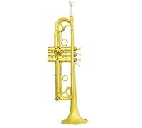 Principianti Tromba Bellissimo Strumento Musicale A Tromba Color Ottone Strumenti In Ottone Con Corpo In Ottone Standard tromba