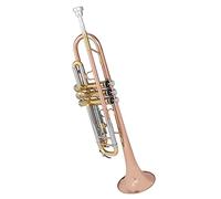 Principianti Tromba Elettroforesi Strumento A Tromba D'oro Che Cade B Tono Principiante In Ottone Tromba Standard Per Adulti tromba