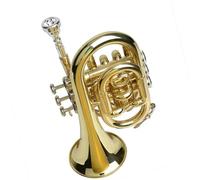 Principianti tromba Strumenti A Fiato Cornetta Per Tromba Si Bemolle Laccata In Ottone Con Bocchino 7C Mini Tromba Tascabile A Tre Tasti
