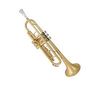 Principianti Tromba Strumenti A Tromba Di Alta Qualità Gli Studenti In Si Bemolle Suonano Professionalmente Ottoni Per Principianti tromba (Color : 02)