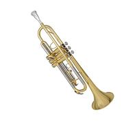 Principianti Tromba Strumenti A Tromba Di Alta Qualità Gli Studenti In Si Bemolle Suonano Professionalmente Ottoni Per Principianti tromba (Color : 01)