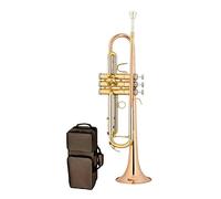 Principianti Tromba Strumenti Musicali A Tromba Standard Dal Design Elegante Tricolore Trend Colore A Contrasto Professionisti Degli Strumenti In Ottone tromba