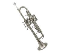 Principianti Tromba Strumento A Tromba B Flat Beginner Brass Tromba Marching Band School Wind Band Brass Instrument tromba (Color : 01)