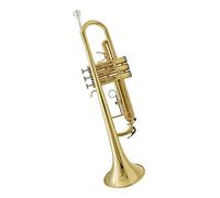 Principianti Tromba Strumento A Tromba B Flat Beginner Brass Tromba Marching Band School Wind Band Brass Instrument tromba (Color : 02)