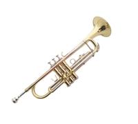 Principianti tromba Strumento A Tromba In Si Bemolle In Ottone Strumento A Tromba A Tre Toni In Oro Laccato