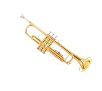 Principianti tromba Strumento A Tromba In Si Bemolle Per Principianti E Professionisti Che Suonano L'oro