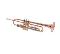 Principianti tromba Strumento A Tromba Per Principianti In Si Bemolle Per Suonare Professionalmente Strumenti In Ottone In Bronzo Fosforoso