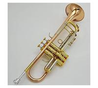 Principianti Tromba Strumento A Tromba Professionale A Tre Toni Con Tromba In Rame A Doppia Scala Con Superficie In Rame Placcato In Oro tromba