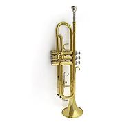 Principianti Tromba Strumento A Tromba Standard Oro/argento Si Bemolle Professionale Tromba In Ottone Tromba Standard Per Studenti tromba (Color : 01)