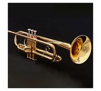 Principianti Tromba Strumento A Tromba Standard Tromba A Tre Toni In Si Bemolle Per Principianti Per Suonare Uno Strumento In Ottone Per Banda Professionale Per Esami tromba