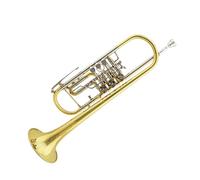 Principianti tromba Strumento A Tromba Tromba A Chiave Piatta Tromba Professionale Strumento A Fiato A Tre Pulsanti Tubo Tromba Dorato In 2 Pezzi
