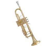 Principianti Tromba Strumento Musicale A Tromba In Si Bemolle Per Bambini E Adulti Per Principianti Per Suonare La Tromba Standard tromba