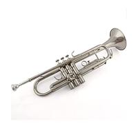 Principianti Tromba Strumento Musicale Per Tromba Oro Argento Standard 7c Bocchino Per Tromba Per Principianti B-down Per Test Di Livello/Professionale tromba (Color : 01)
