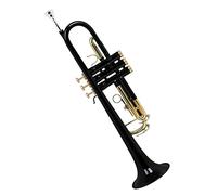 Principianti Tromba Strumento Per Tromba Sib Corpo In Ottone Tromba Con Chiave In Oro Colorato Con Panno Per La Pulizia Guanto Bocchino Parti Della Scatola Di Stoffa tromba (Color : 01)