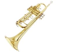 Principianti tromba Strumento Tromba In Si Bemolle Per Principianti Strumento Tromba Professionale Entry-level A Pistone