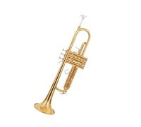 Principianti tromba Test Di Performance Per Tromba Per Principianti In Si Bemolle A Tre Note Banda Professionale Oro