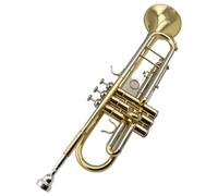 Principianti tromba Test Per Principianti Dello Strumento A Tromba Si Bemolle/do Accordabile