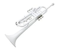 Principianti tromba Tromba A Tre Toni In Si Bemolle Per Principianti E Test Di Performance Professionale Con Custodia Portatile(Color:White)