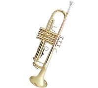 Principianti tromba Tromba A Tre Toni In Si Bemolle Per Principianti E Test Di Performance Professionale Con Custodia Portatile(Color:Gold)