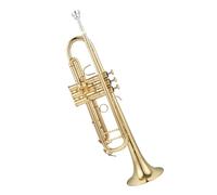 Principianti tromba Tromba Originale In Si Bemolle Per Principianti E Strumenti Professionali Custodia Speciale In Ottone E Pelle Dorata