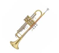 Principianti tromba Tromba Professionale In Si Bemolle Strumento A Tromba Laccato Dorato Le Note Alte E Basse Sono Trasparenti