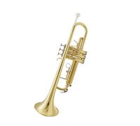 Principianti tromba Tromba Professionale Per Principianti Livello Di Prestazione Per Adulti, B, Lacca Piatta, Tromba Dorata Materiale In Ottone