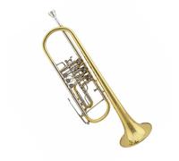 Principianti tromba Tromba Si Bemolle Tromba Tromba Professionale Strumento A Fiato A Tre Pulsanti Oro