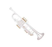Principianti Tromba Tromba Sib Standard Corpo In Ottone Giallo Chiave Dorata Argento Strumenti Musicali Professionali Con Custodia tromba