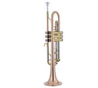 Principianti Tromba Tromba Standard B-tuned Strumento In Ottone Corpo In Ottone Fosforoso Test Di Livello Per Principianti Che Suona Studenti Adulti tromba