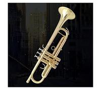 Principianti Tromba Tromba Standard In Ottone Strumento Musicale Occidentale In Si Bemolle Per Principianti Per Suonare L'elettroforesi Tromba A Tre Toni In Oro tromba